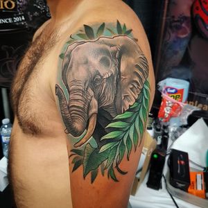 Neotrad elephant done at the Winnipeg Tattoo Convention 2018.