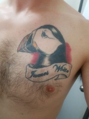 Newfoundland puffin chest piece for my grandfather.
