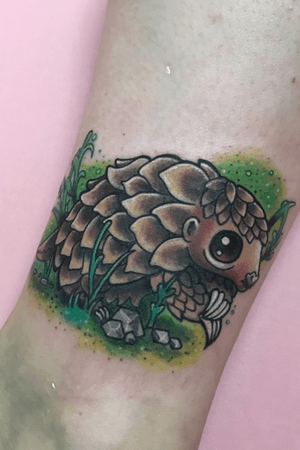 A little friendly pangolin. Email caryscuttlefish@hotmail.com to book 