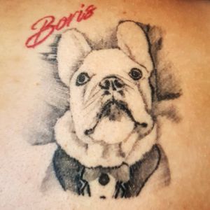 My franch bulldog🐶#tattoo #franchbulldog #tattoobulldog #franchbulldogtattoo #tattooart #animaltattoo  #animaltattoos 