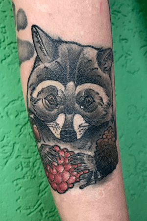Healed racoon #tattooartist #art #racoon #neotraditional #traditional #animal #germantattooers #mannheim #cute 