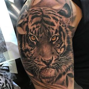 Tiger in Realistic Style by Jenny 