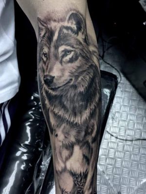 Wolf in Realistic StyleBy Jorge