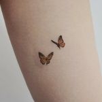 Simple butterflies