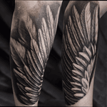 Wing tattoo at the forearm ✌🏼 @green_pearl_tattoo #melfortat #braunschweigtattoo #greenpearltattoo #kwadroncartridges #inkjecta #silverbackink #tattoo  #tattoos  #tttism #blacktattoo #darkartist #ink #inked #bodyart #bnginksociety #tattoolife #tattoolovers #inkstagram #hannover #braunschweig #blackandgreyrealism  #Braunschweig  #wowtattoo  #tattoodesign #inkjunkeyz #tattrx #besttattooinspigrations 