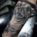 Dog in Realistic Style by Jorge