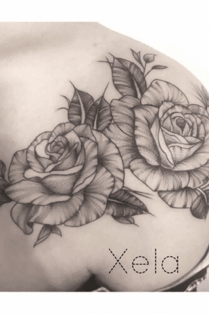 CLOSE UP🌹 #rose #finelinetattoo #floral #rosetattoo #flower #floraltattoo #tattoo #inked #ink #girlwithtattoos #dotwork #dotworktattoo #linework #dotworkrose #blackwork #blackandgrey #tattoodesign #girlytattoo #femininetattoo #tattooproject #tttism #tattoolife #tattooart #montpellier #mtp #tattrx #tattooer #montpelliertattoo #encrés