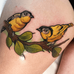 Couple of cute birdies, if you want to get tattooed by me: instagram.com/willemxsm or email me willemxsm@live.nl 