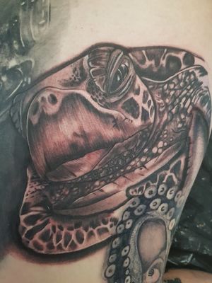 Turtle done - I love it !!! 