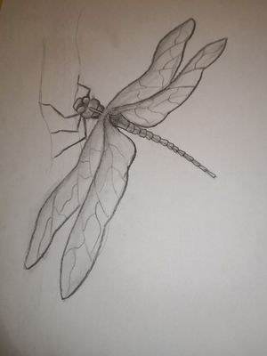 Ma création 😊 #dragonfly #dragonflytattoos #dessin 