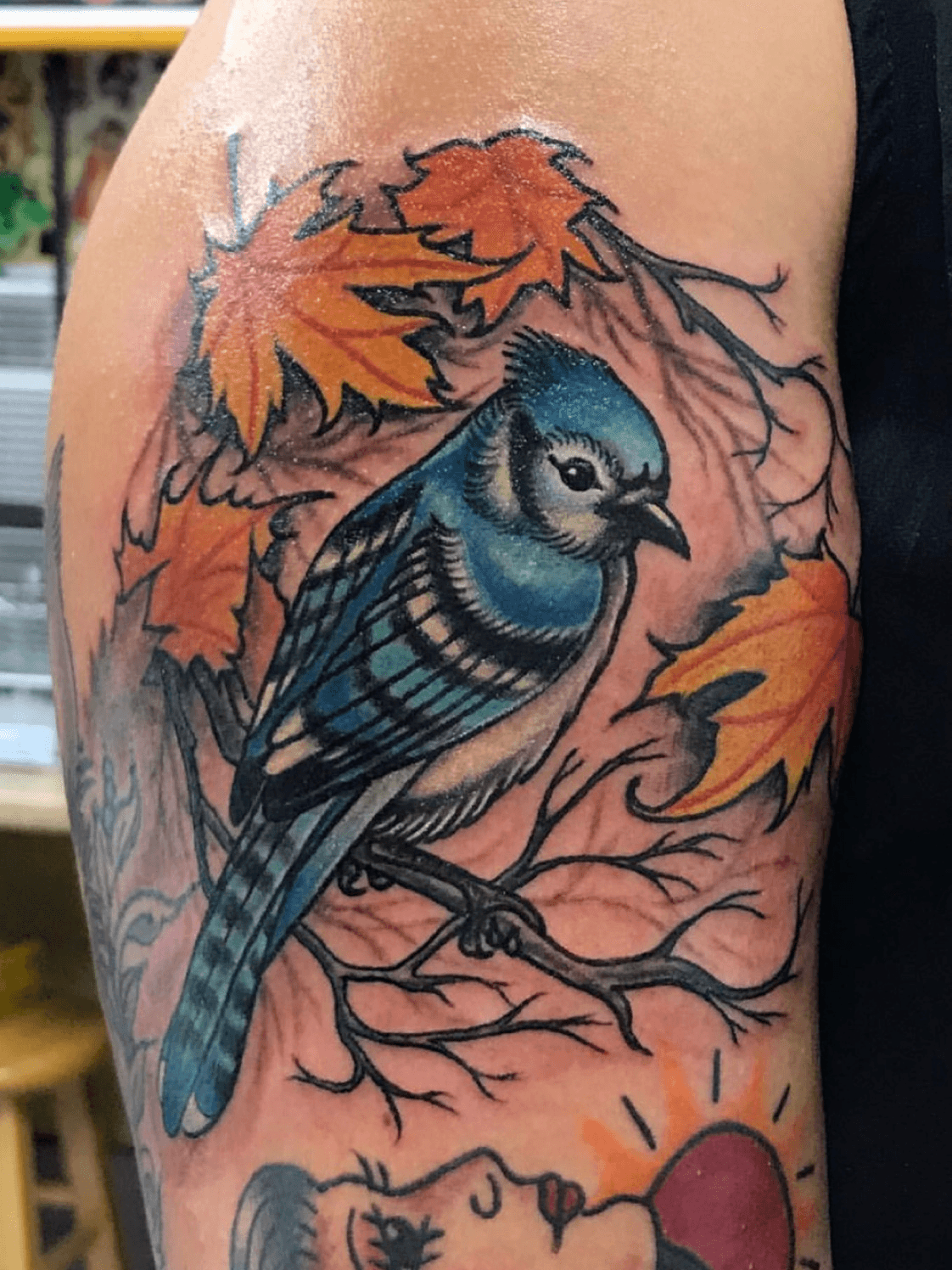 Blue jay and an orange done by Me Cam Sevigne at Great Spirits Tattoo in  Greenfield Ma  rtattoo