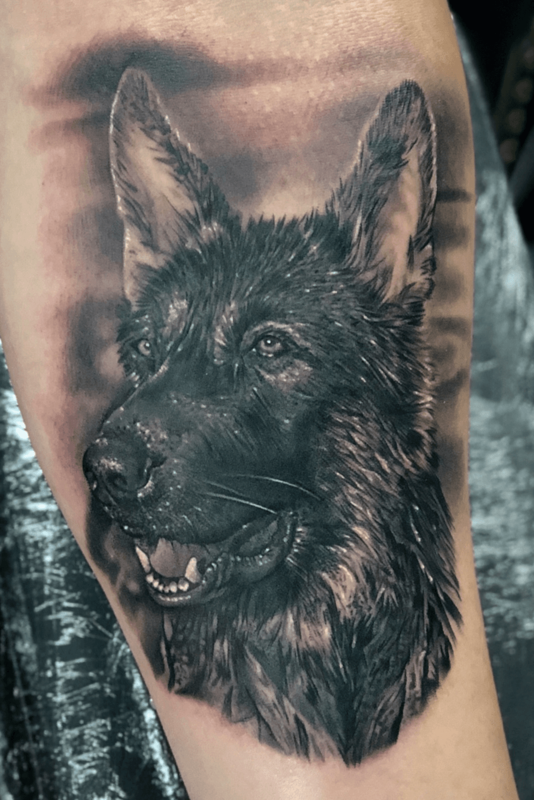 Mens Forearm Sleeve Shaded German Shepherd Memorial Tattoo Ideas  Best  sleeve tattoos German shepherd tattoo Dog memorial tattoos