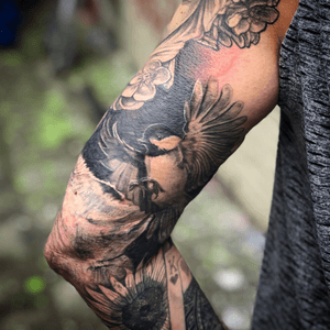 Bird tattoo black and grey realism by Peter