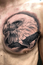 Done by Bram Koenen - Resident Artist @swallowink @iqtattoogroup tat #tatt #tattoo #tattoos #tattooart #tattooartist #blackandgrey #blackandgreytattoo #eagle #eagletattoo #bird #birdtattoo #ink #inkee #inkedup #inklife #inklovers #art #bergenopzoom #netherlands