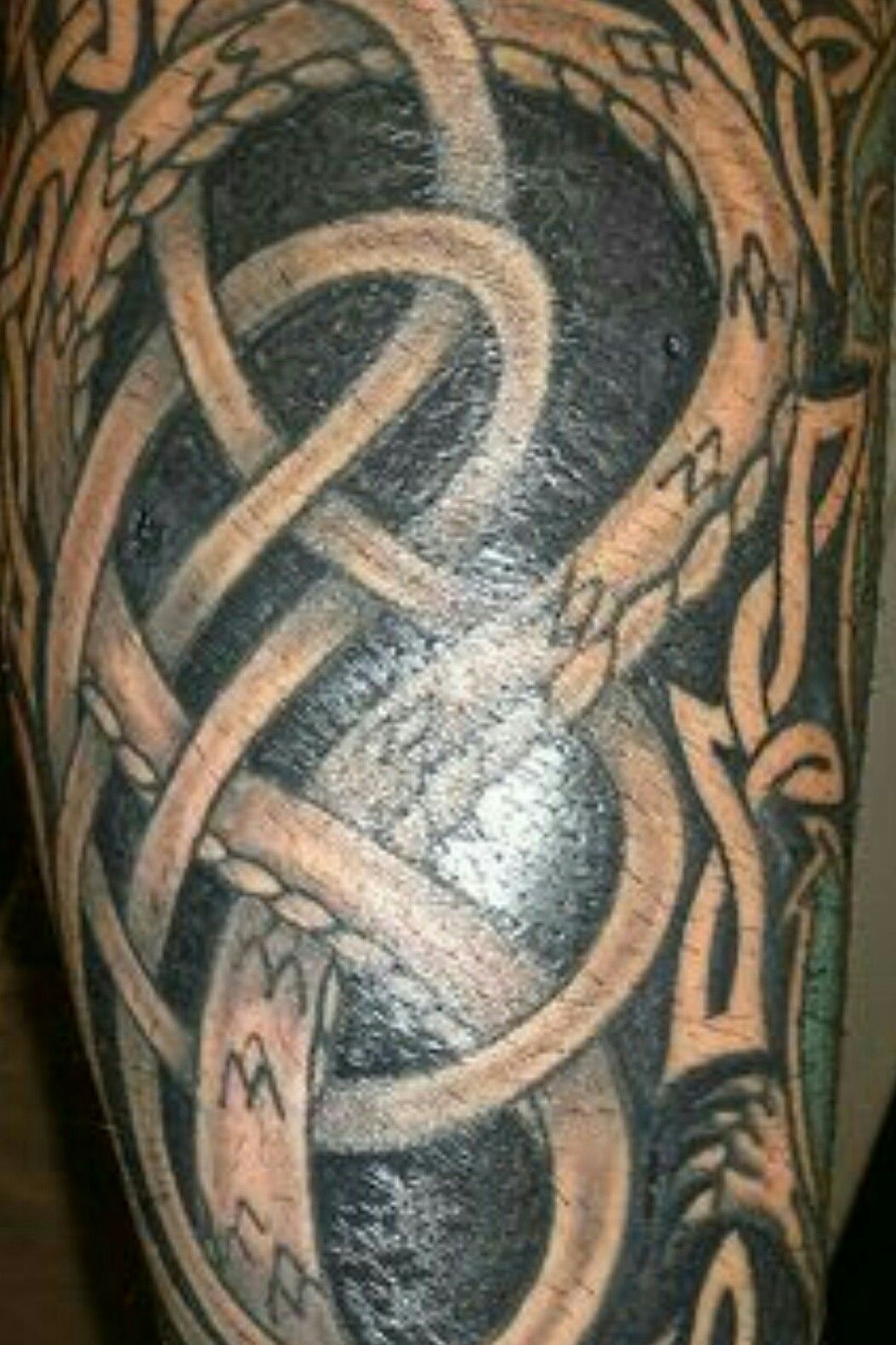 Pictish Snake Tattoo Design  LuckyFish Inc and Tattoo Santa Barbara