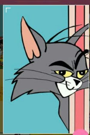 Cute Tom from Tom and Jerry.. Fav. cartoon!