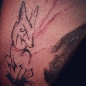 #tattoo #tattootime #tattoolife #tattooer #tattooing #tattooink #ink #inklife #inker #anubis #anubistattoo #anubistatuaje #tatuajes #davesalazarartattoo