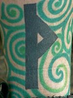 Viking rune runes runestone sleeve wunjo green symbol 