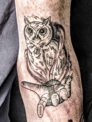 Magic owl. Black and grey, hand, sketch