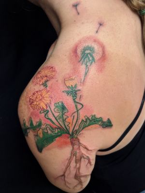 Watercolor sketchy dandelion