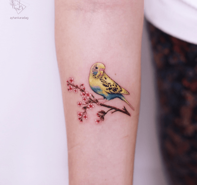 Tattoo uploaded by Ayhan Karadağ Tattoo Studio • 🐦 • Tattoodo