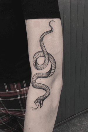 Snake • • • • • #tattoo #tatuagem #tattoos #ink #art #traditional #traditionaltattoo #blackwork #flash #rotterdam #floestattoos #010 #oldskool #traditionalartist #greyspit #btattooing #allblackeverything