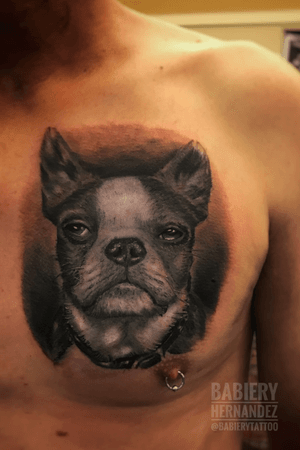 Love tattooing animal portrait🤗 so much fun!! 