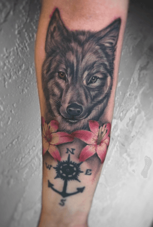 #wolf #blackandgrey #color #orchid 