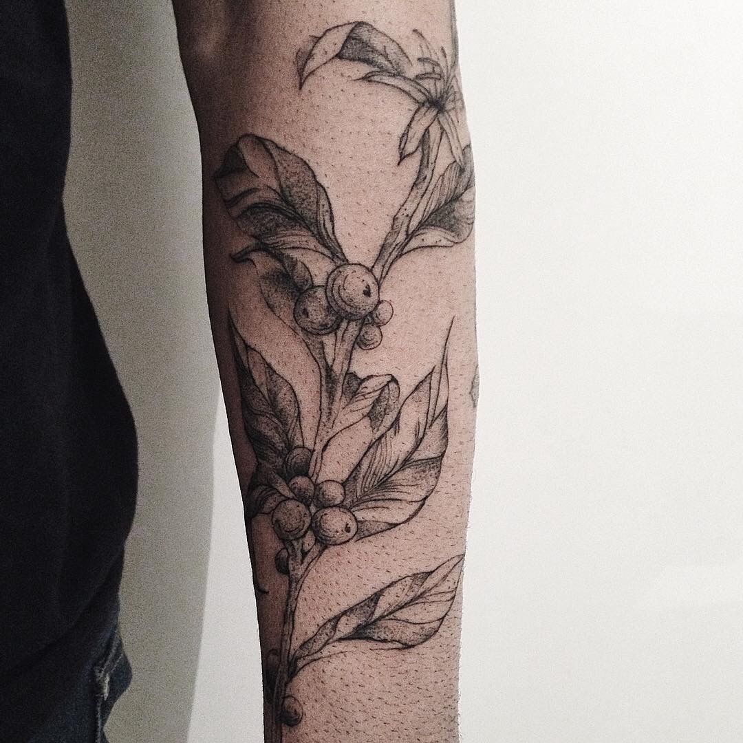 Coffee plant tattoo  Tattoogridnet