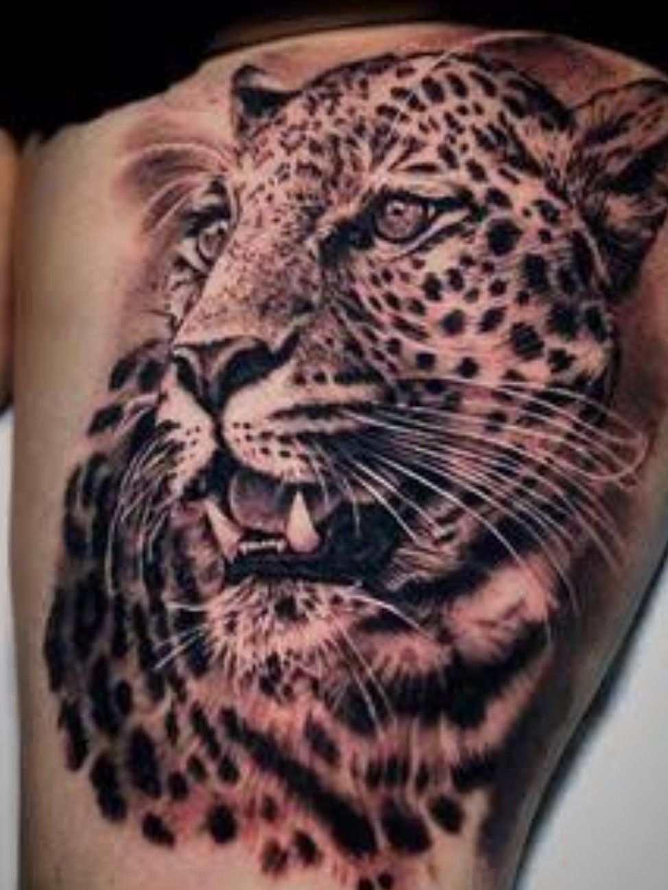 115 Jaguar Tattoos to Inspire Your Wild Side  Tattoo Me Now