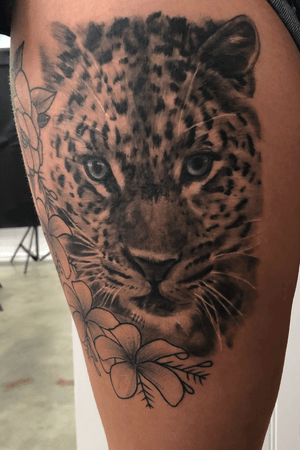 Healed pic of cheetah 