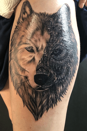 Wolf and mandala 
