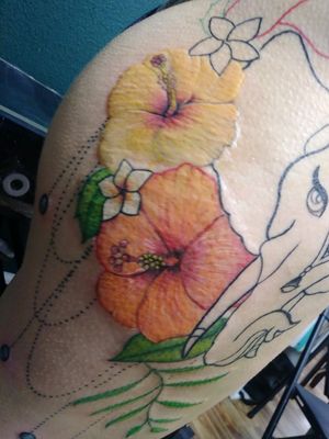 Thigh color hibiscus flowers and elephant
