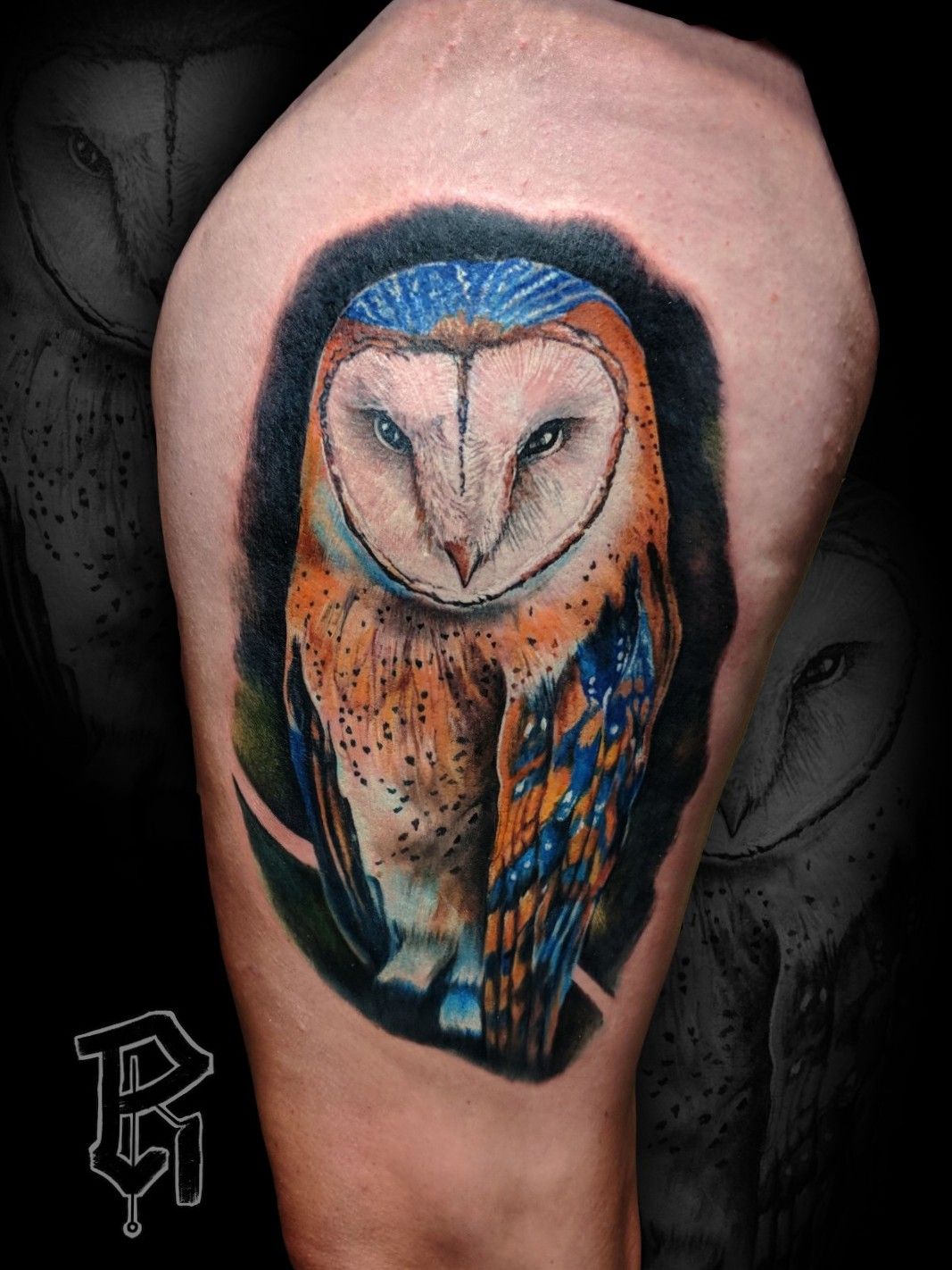 122 Amazing Owl Tattoos  Their Meanings