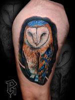 Color Realistic Barn Owl #realism #photorealism #colorportrait #realistictattoo #colorrealism #owltattoos 