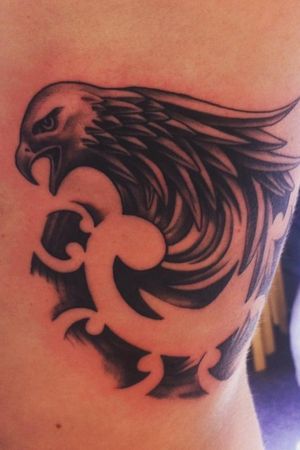 Semi realistic eagle #EagleHead #blackandgray  #maoristyle  #realistic 