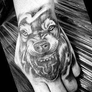 Tattoo Wolf #tattoo #dinamic #tattooink #tattoohand #wolf #tattoowolf #progressiontattoo 🤙🏻🙌🏻