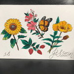 Flora tattooflash #sunflower #poppy #raspberry #butterfly 