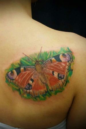 #colourtattoo #butterflytattoo #Butterflies #butterfly  #tattoofrankfurt #tagpfauenaugetattoo #peacockbutterflytattoo