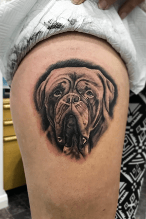 Dog portrait •#skin2paper #hulkproseries #hulksuperbond #nocturnalink #nocturnaltattooink #eztattooing #uk_tattooart #tattoo #tattoos #ink #inked #tattooed #tattooist #tattooflash #tattoodesign #instaart #instatattoo #tattooistofinstagram #drawing #art #instatattoo@spartantattoocartridges @eztattooing @nocturnaltattooink @inkeeze @hulkproseries
