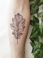 #tattooculturemag #blackandwhite #blackwork #thalink #tattoo #tattooart #ink #inked #engraving #belgium #brussels #tattrx #blackworksubmissions #iblackwork #tatouage #onlythedarkest #onlyblackart #inkedgirls #tttism #tattooart #art #nature #flower #belgiumtattoo #wildlife #WildSpiritTattoo #leaftattoo #leaftattoo #brussels #whipshading 