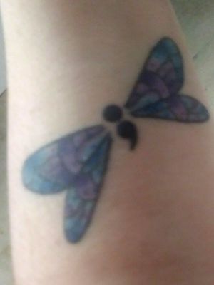 My semi-colin dragonfly; represents when an author chose to keep writing, when he could have finished it.Dragonflies represent change