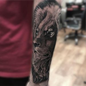 Realistic lion forearm tattoo by Chrissy lee at Colchester Body Art.