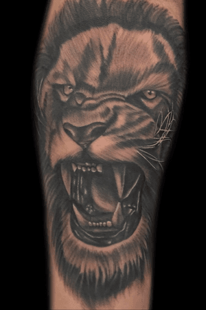Black and grey lion.... if intreated in getting tattooed message me on instagram @toniitattoos #tattooartist #tattoos #ink #inked #inkedup #tatted #bodyart #skinartmag #tattooartistmagazine #sandiego #northpark #girlswithtattoos #inkedgirls 