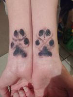 My dogs paw prints