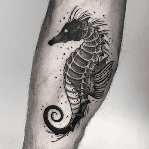 ▪️Seahorse▪️                                                                       #seahorse #seacreature #tattooart #blackwork #BlackworkTattoos #blackworktattoo 