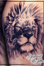 Lion black and grey
