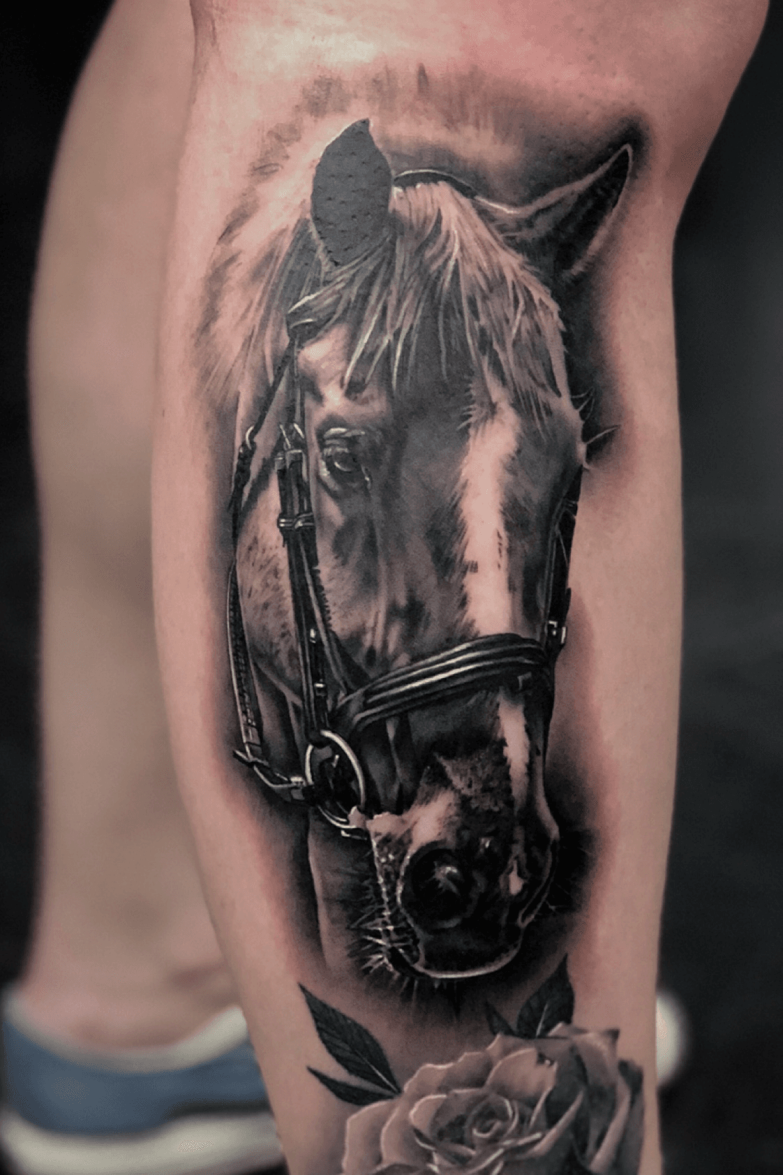 Horse tattoo for woman  Small horse tattoo Horse tattoo Horse heart  tattoo