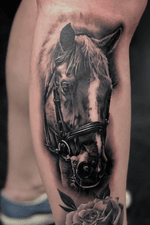 Memorial portrait. #blackandgrey #horse #horsetattoo #realism 