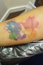 Watercolour cat #tattoo #tattoos #tattooist #tattooartist #watercolour #watercolor #watercolourtatoo #cat #cattattoo #tattoooftheday 